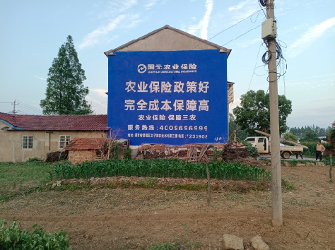 恩施墙体广告的优劣势你知道吗？